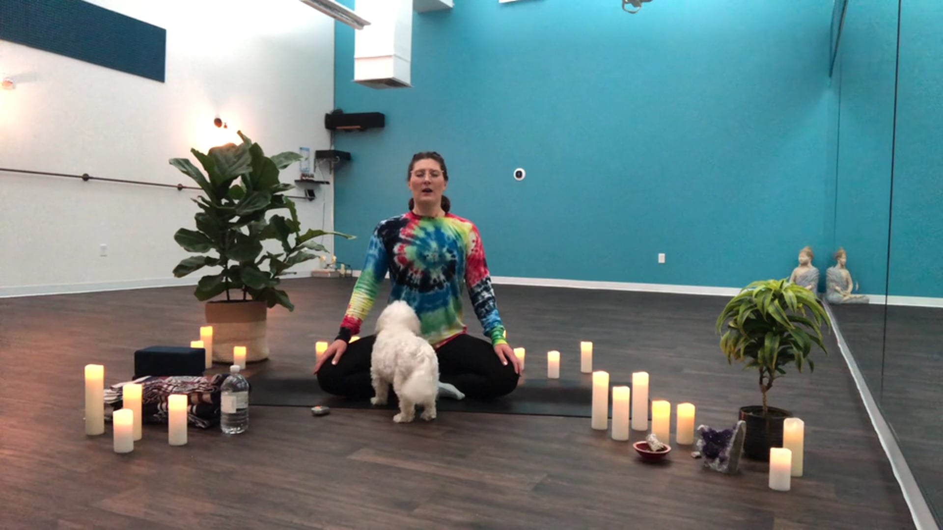 Yin for the spine with Jackie