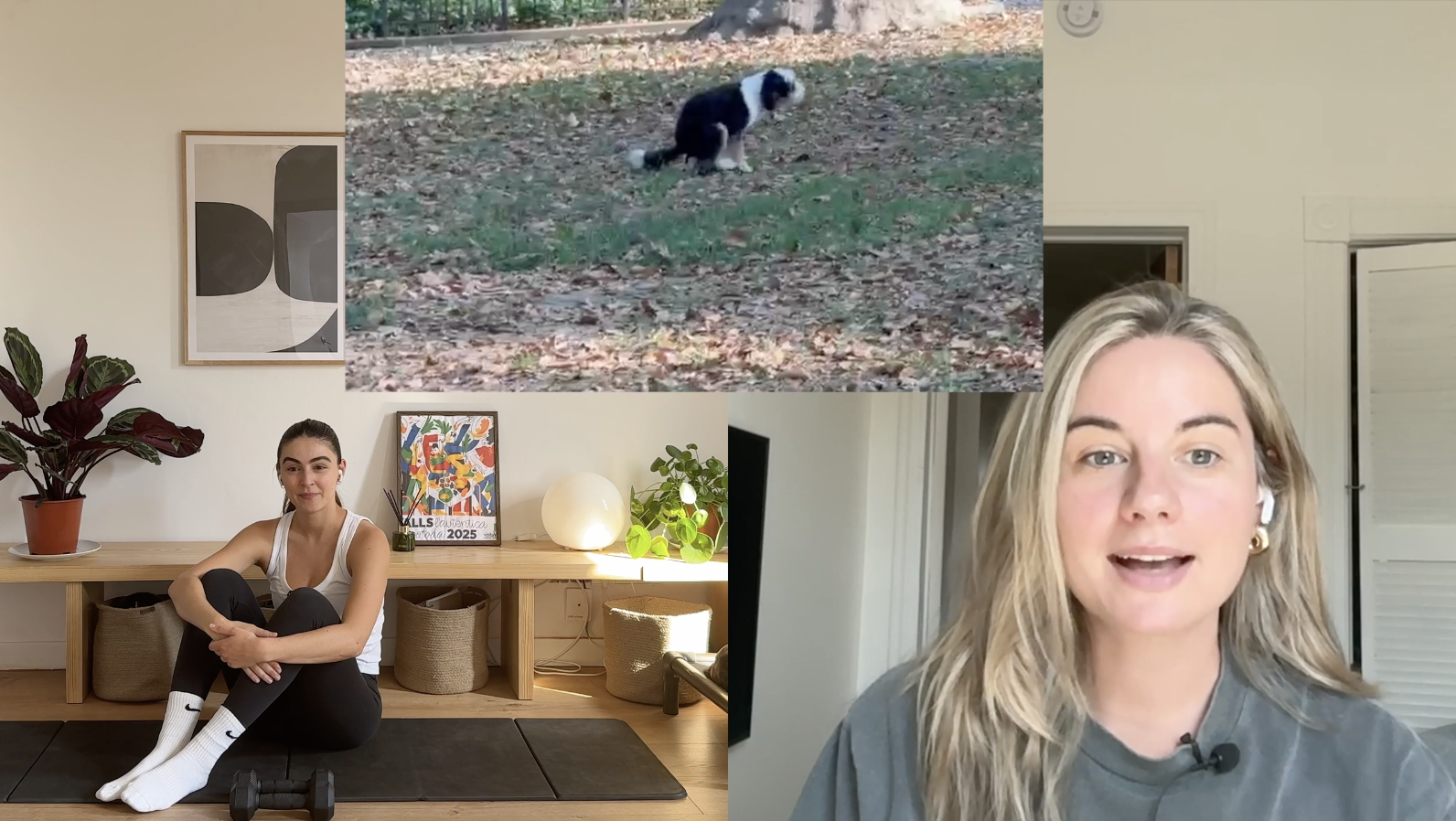 DOG POO | 30 MIN | FULL BODY | MEDIUM | DUMBBELLS