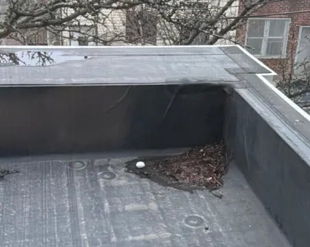 BIRDS | 30 MIN | FULL BODY | MEDIUM |...