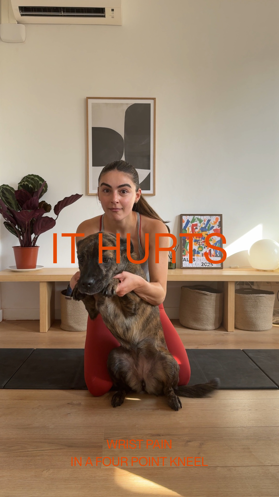 WRISTS | 1 MIN | FULL BODY