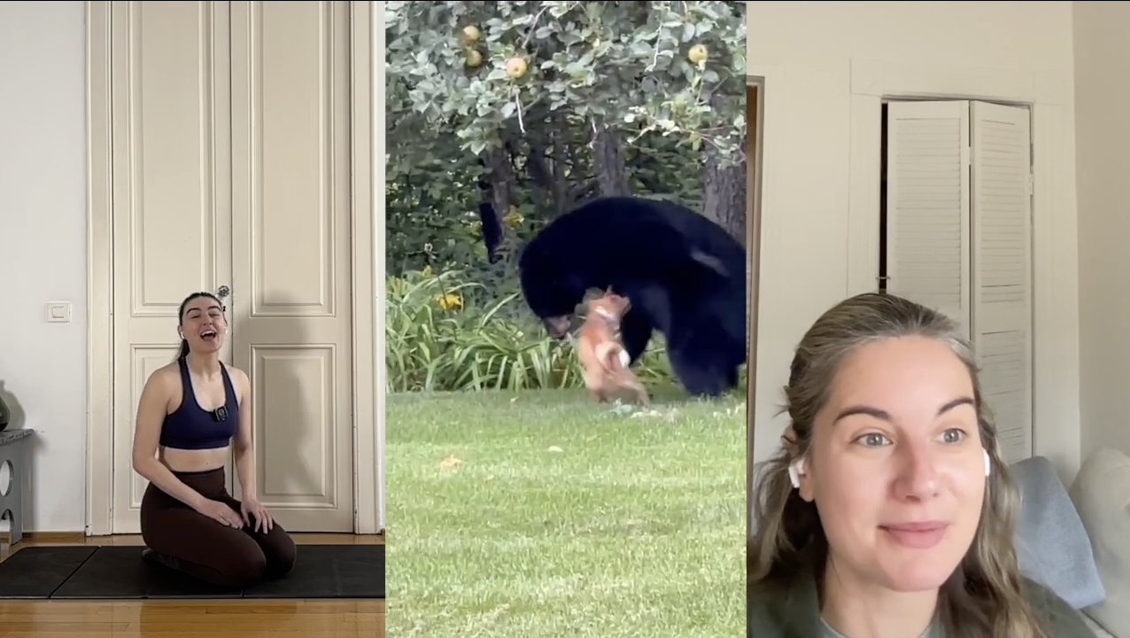 BEARS | 15 MIN | ABS | MEDIUM | FOUNDATIONS