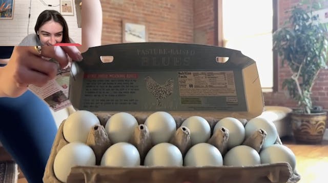 BLUE EGGS | 15 MIN | ABS | HARD