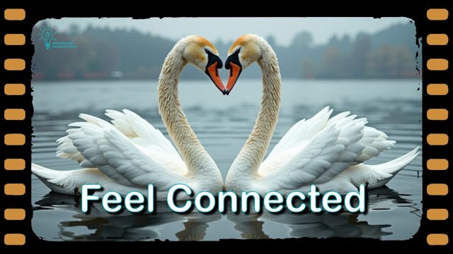 #29 Feel Connected