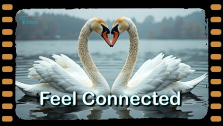 Emotional Innovations Video Library Video