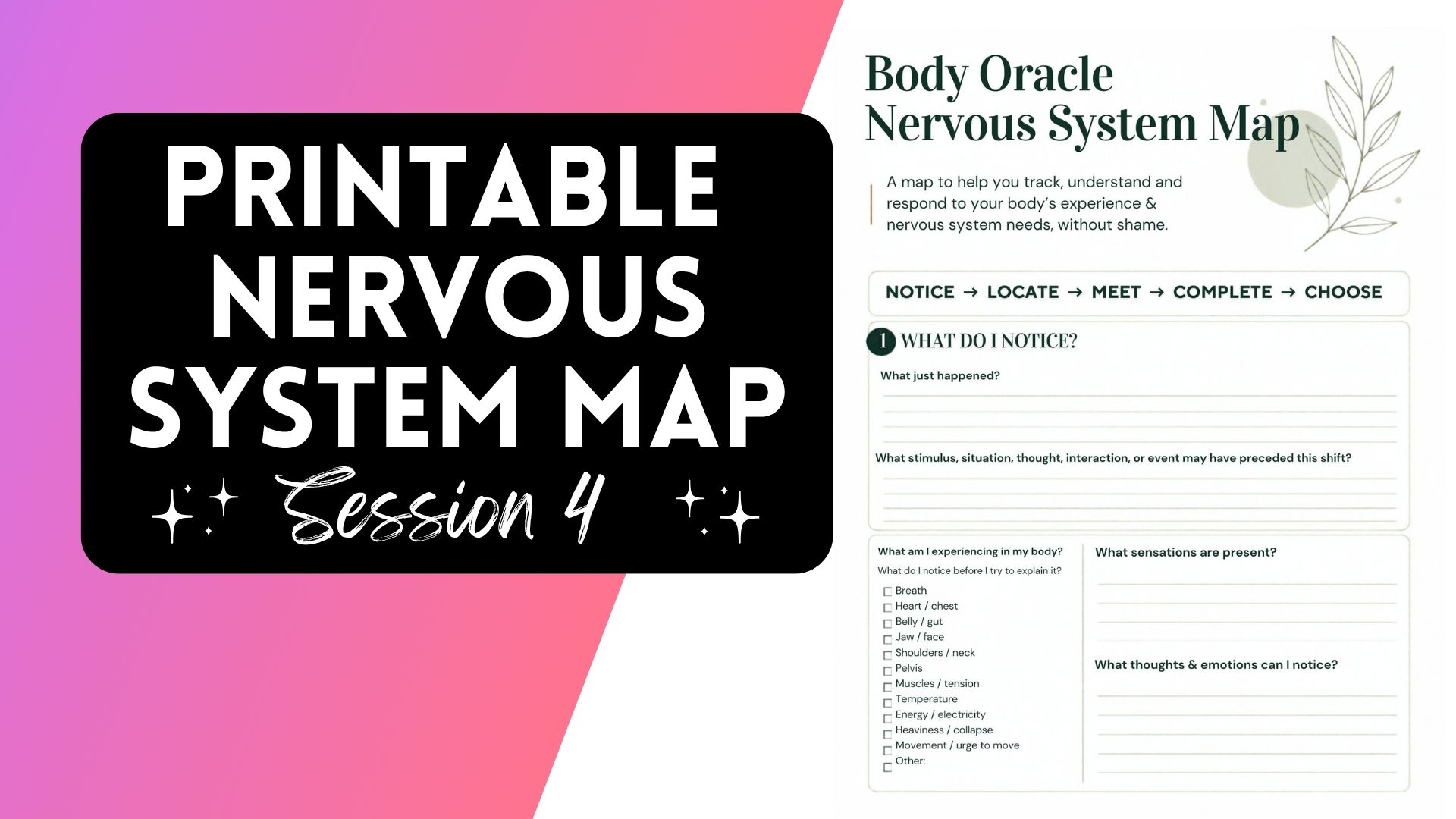 Printable Nervous System Map PDF