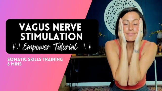 Vagus Nerve Stimulation Somatic Skill...