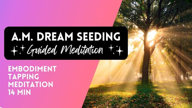 A.M. Dream Seeding Meditation