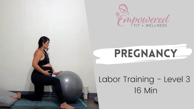 Labor Training - Level 3