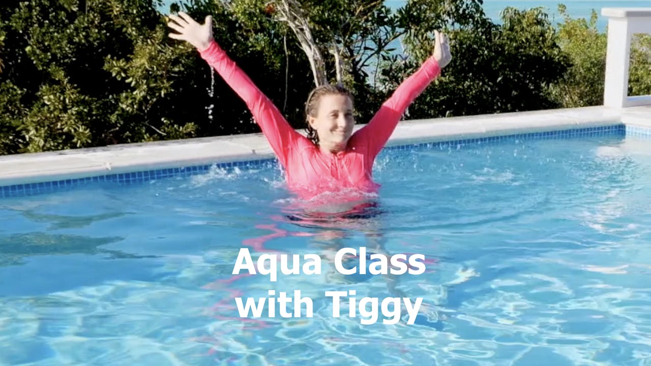 Aqua Fitness For A Total Body Workout