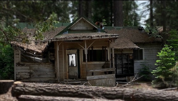 The Village Lost in the Woods