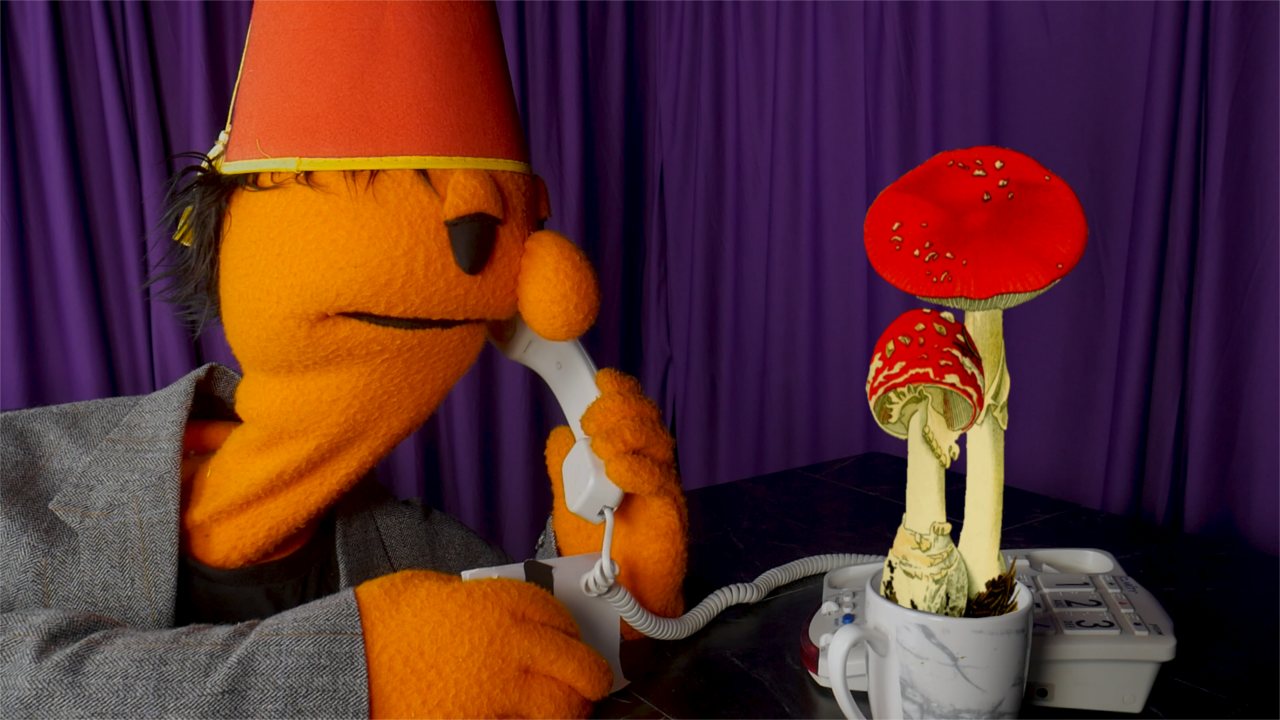  Kevin’s Spooky Fungi