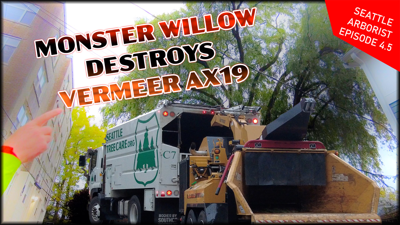 Monster Willow Destroys Vermeer AX19