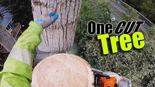 One Cut Tree