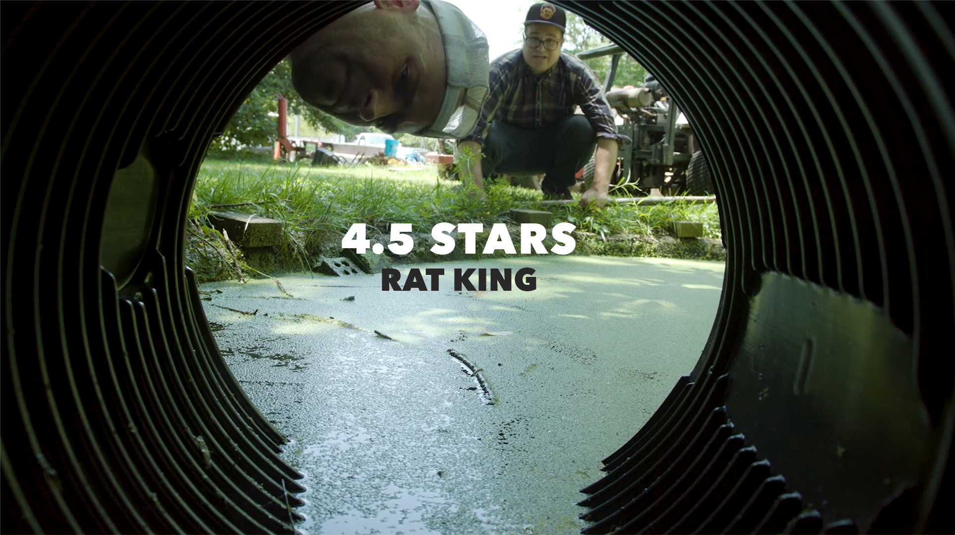 Rat King