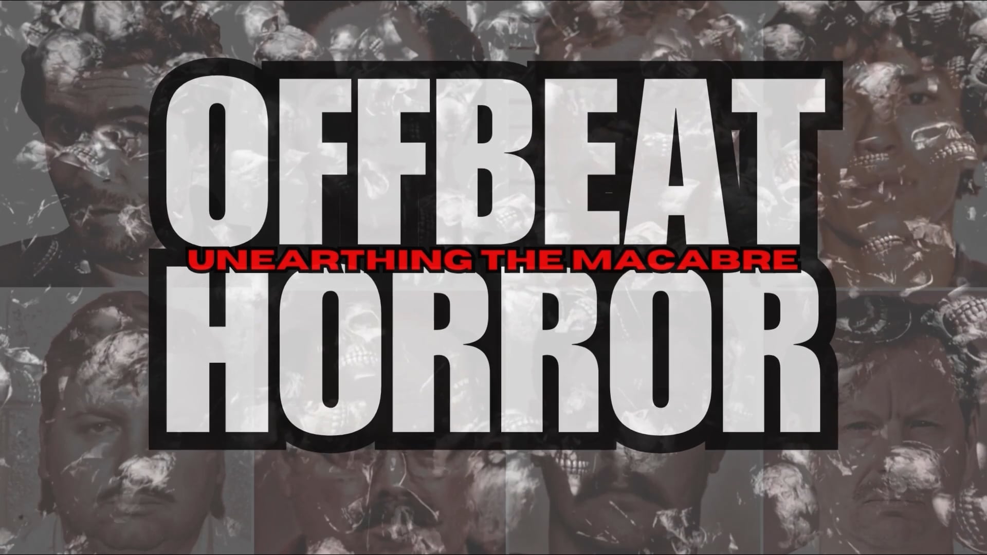 Human Skull For Sale! 