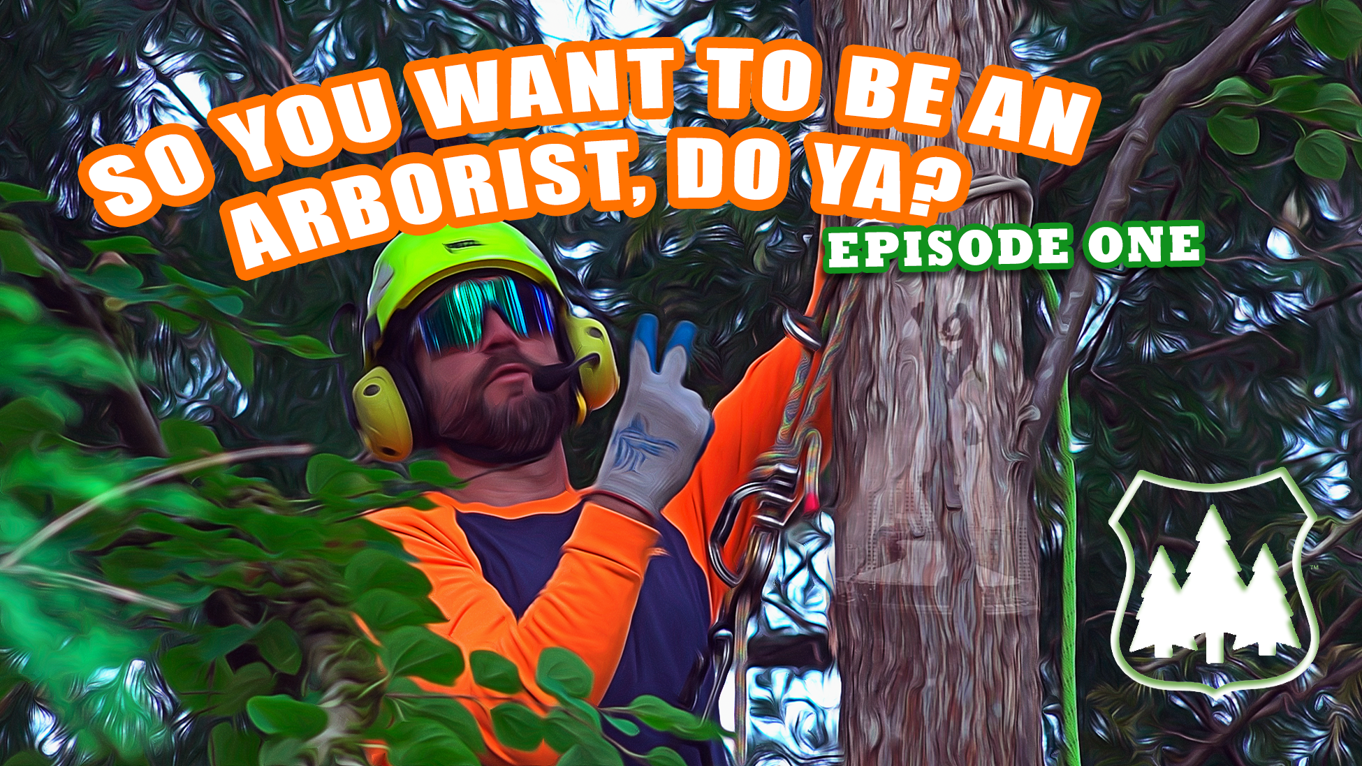 So You Want To Be An Arborist?