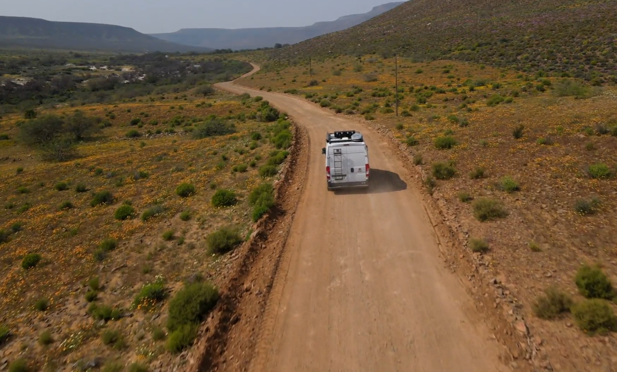 Wanderers and Whiskers