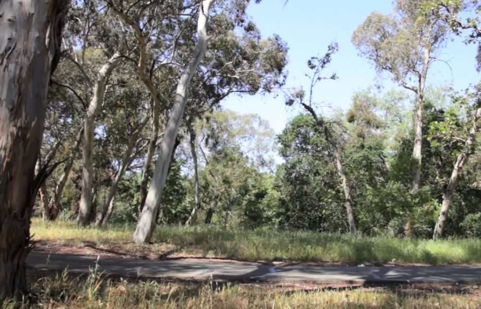 Dark Side of the Hills