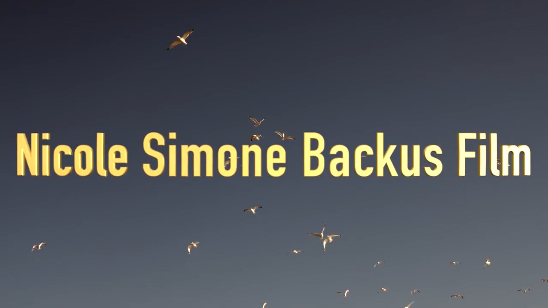 (Pilot) My Wife Pregnant By Another Man