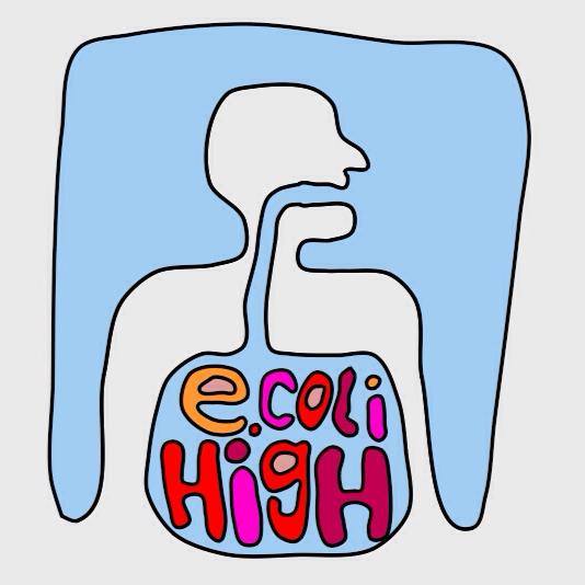 E Coli High