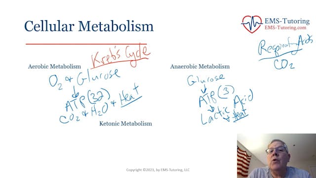 Cellular Metabolism