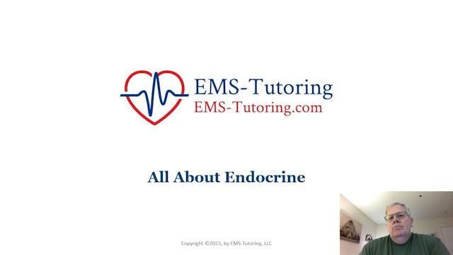 All About Endocrine