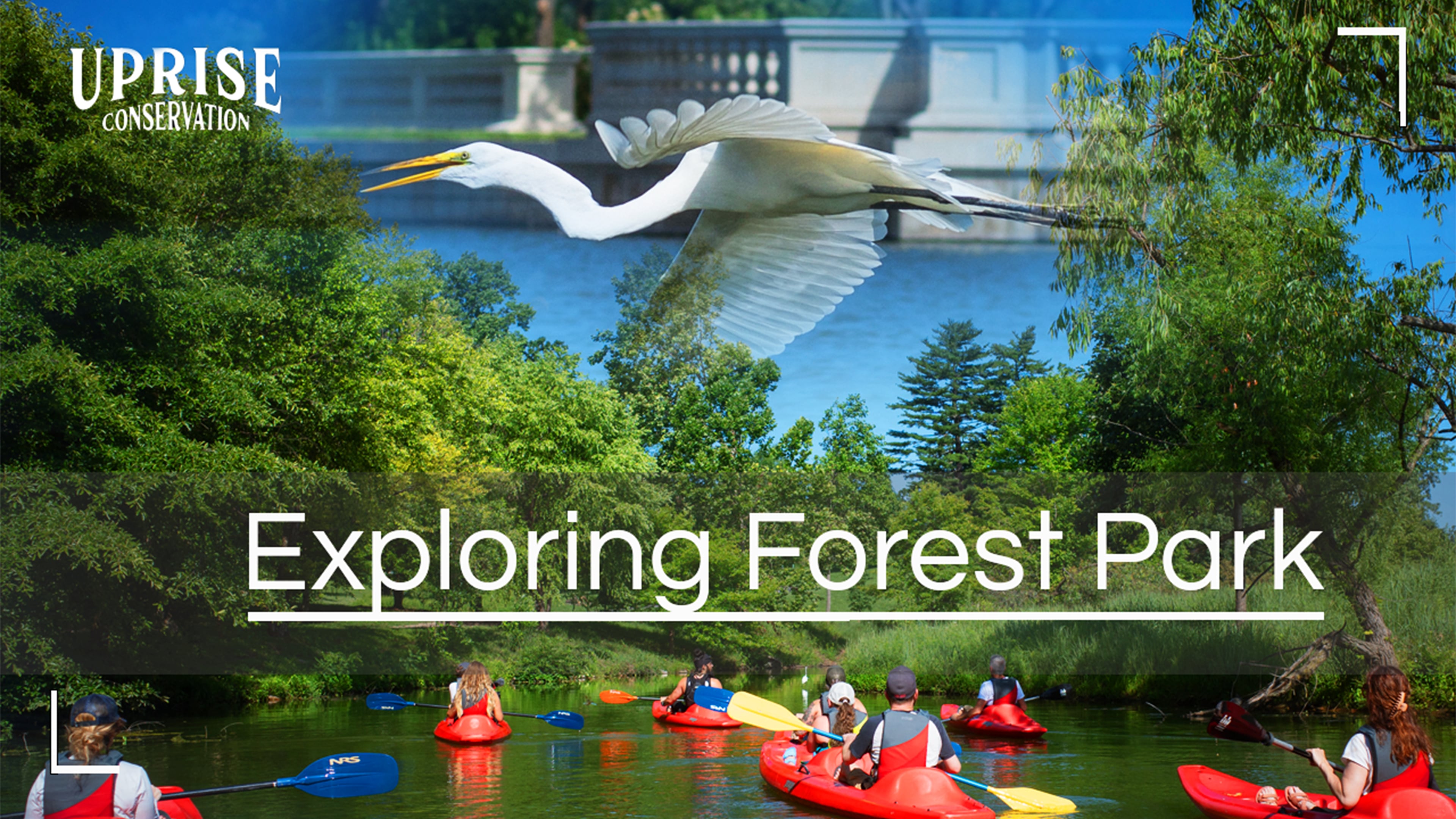 Exploring Forest Park