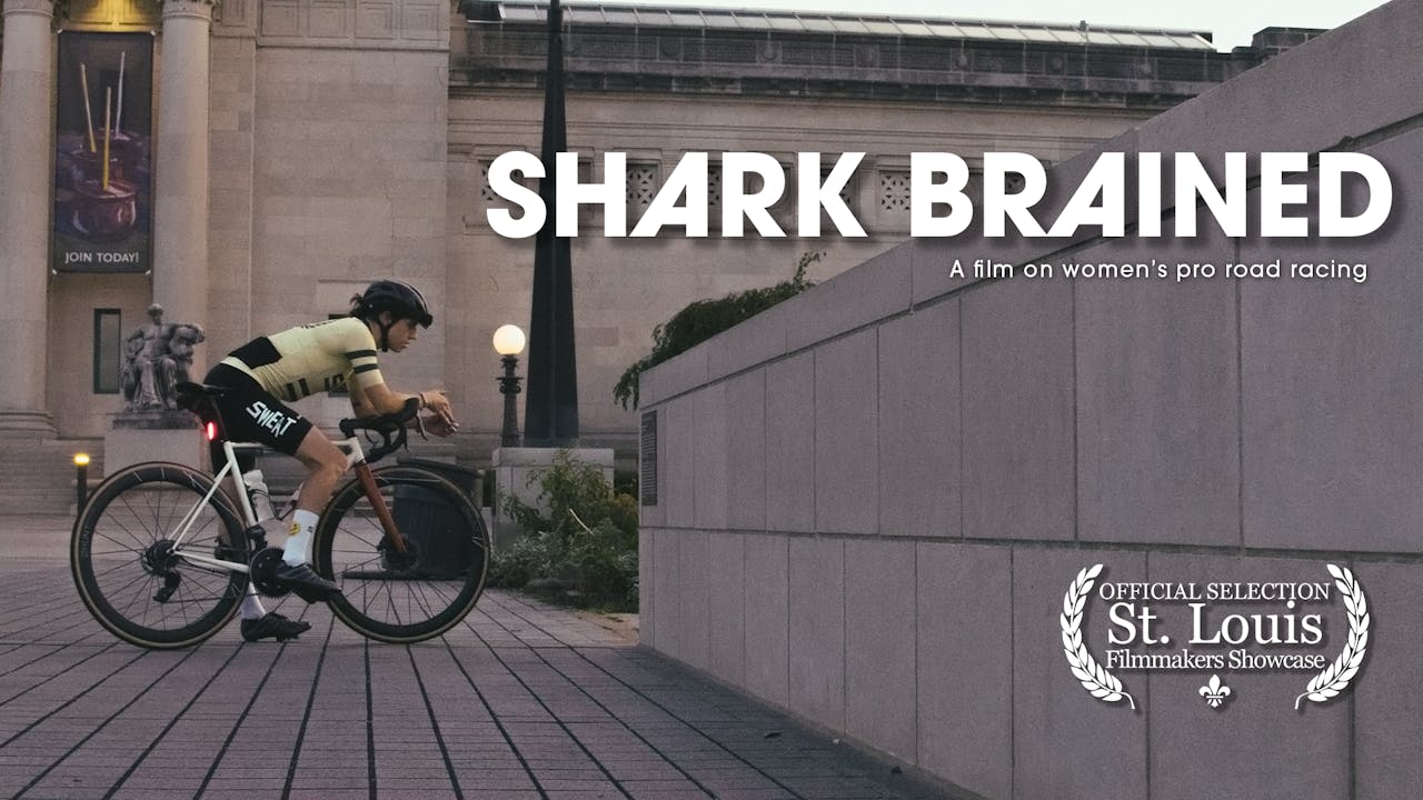 Shark Brained