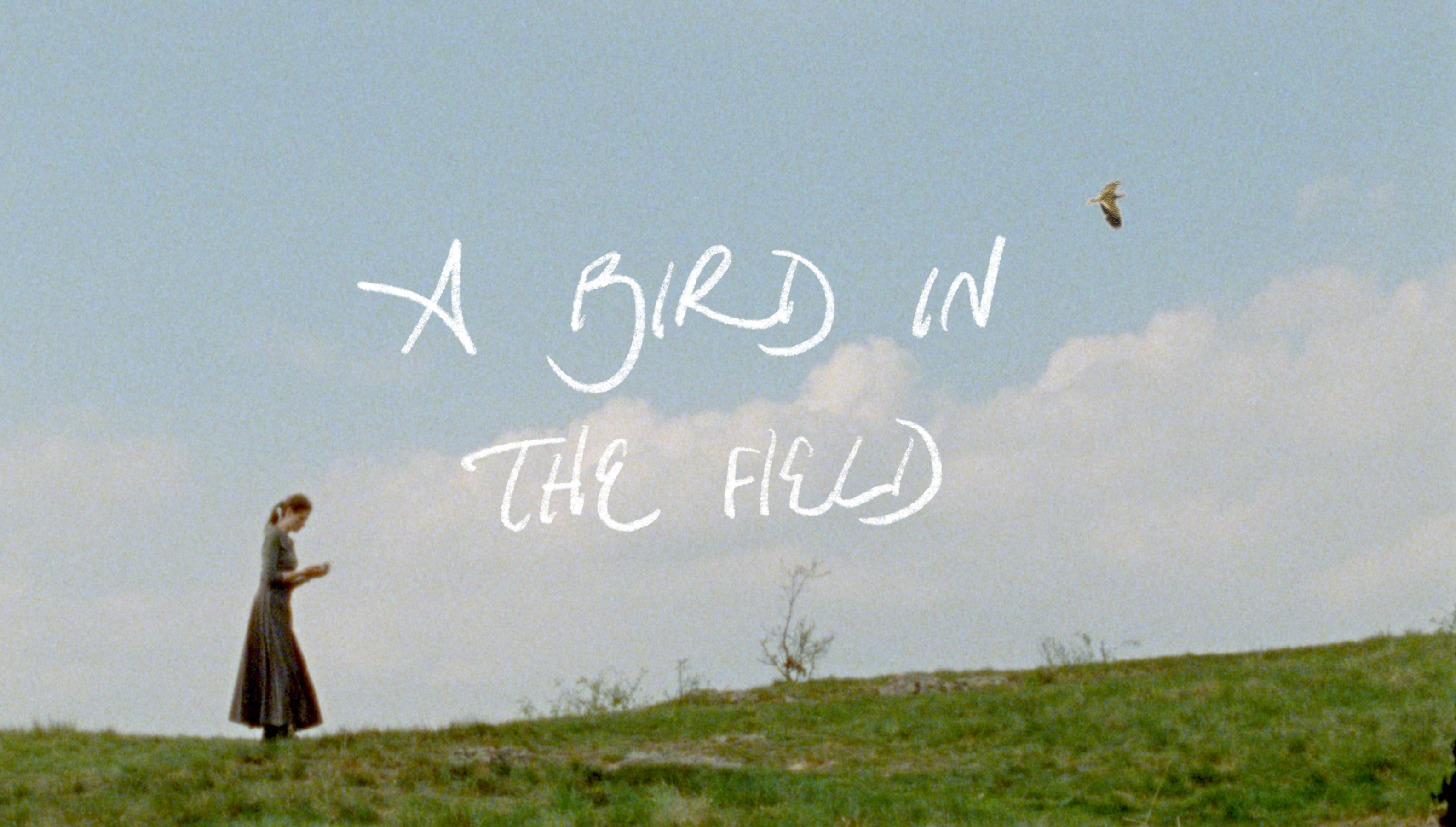 A Bird in the Field