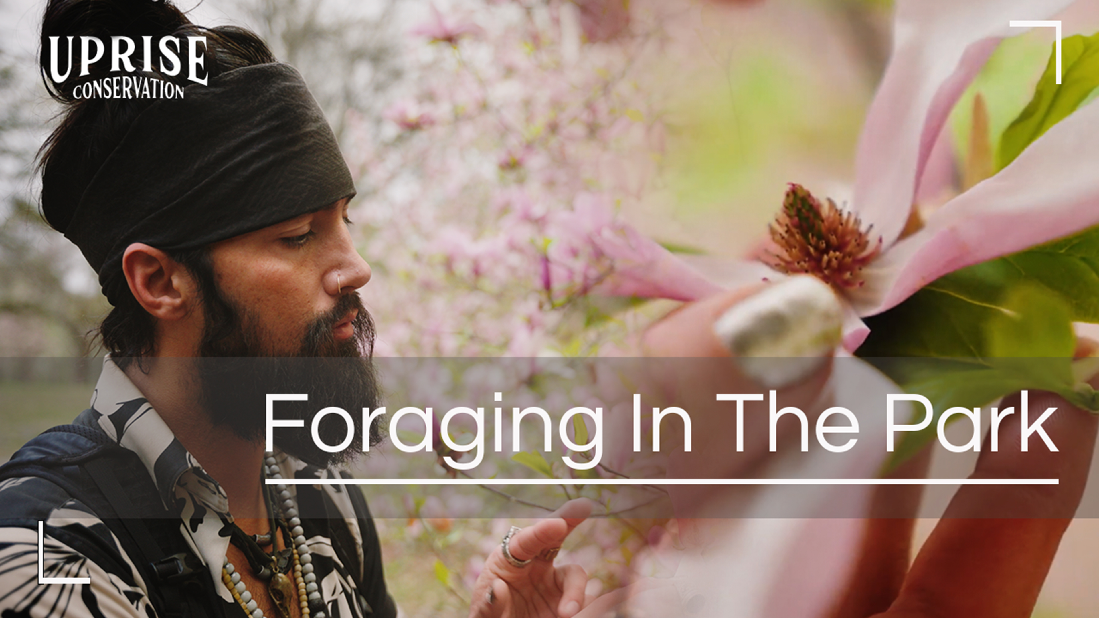 Foraging for Food in the Park