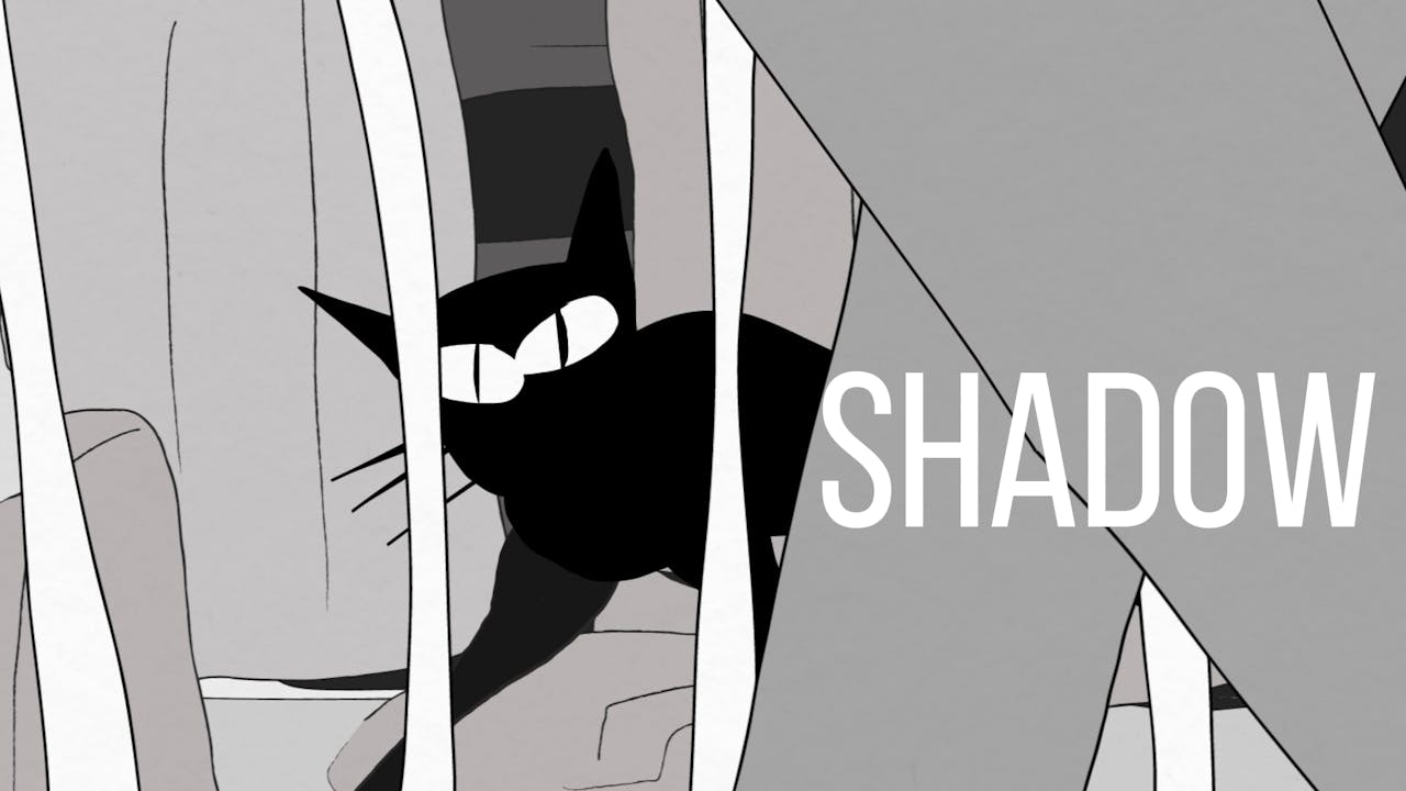 Shadow
