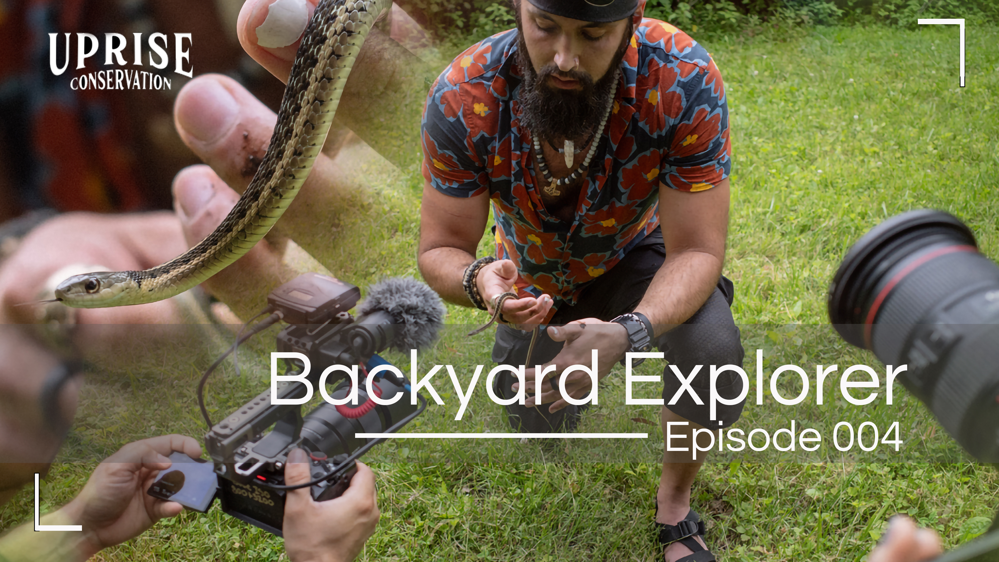 What Will You Find In Your Backyard?