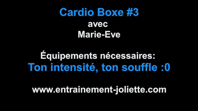 cardio_boxe_#3_vimeo.mp4 (720p)