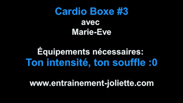 cardio_boxe_#3_vimeo.mp4 (720p)