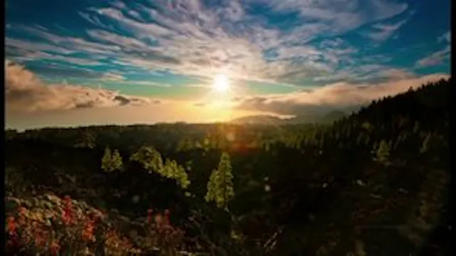 Creed 03 - Creator of heaven and earth