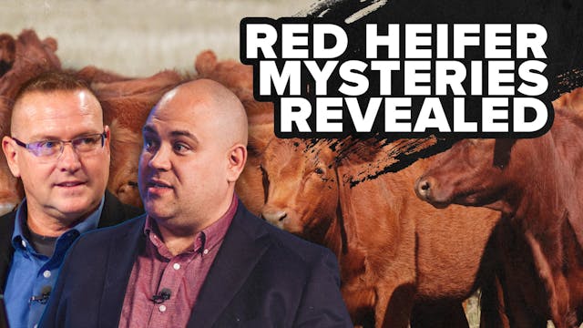 01/31/2024 - Red Heifer Mysteries Rev...