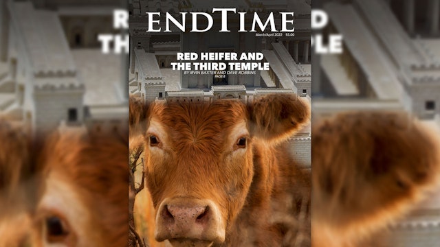 Red Heifer and The Third Temple