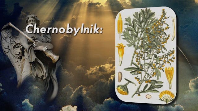 The 7 Trumpets Arabic