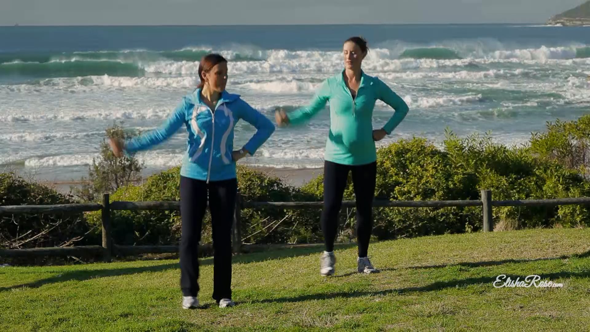 Cardio _ Pregercize _ Pre- & Post Natal Exercise Instructional Video