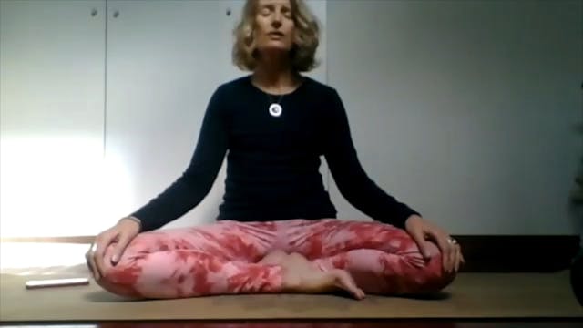 Yin Practice with Liz 3