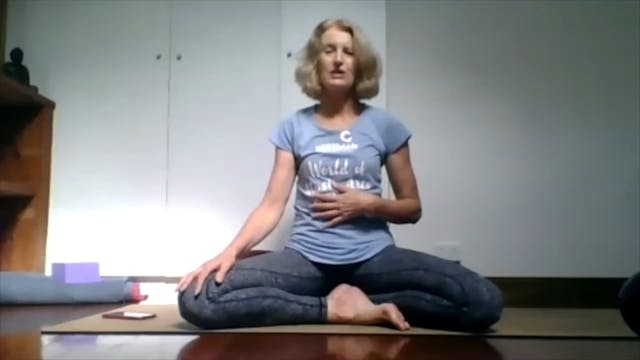 Yin Practice with Liz 2