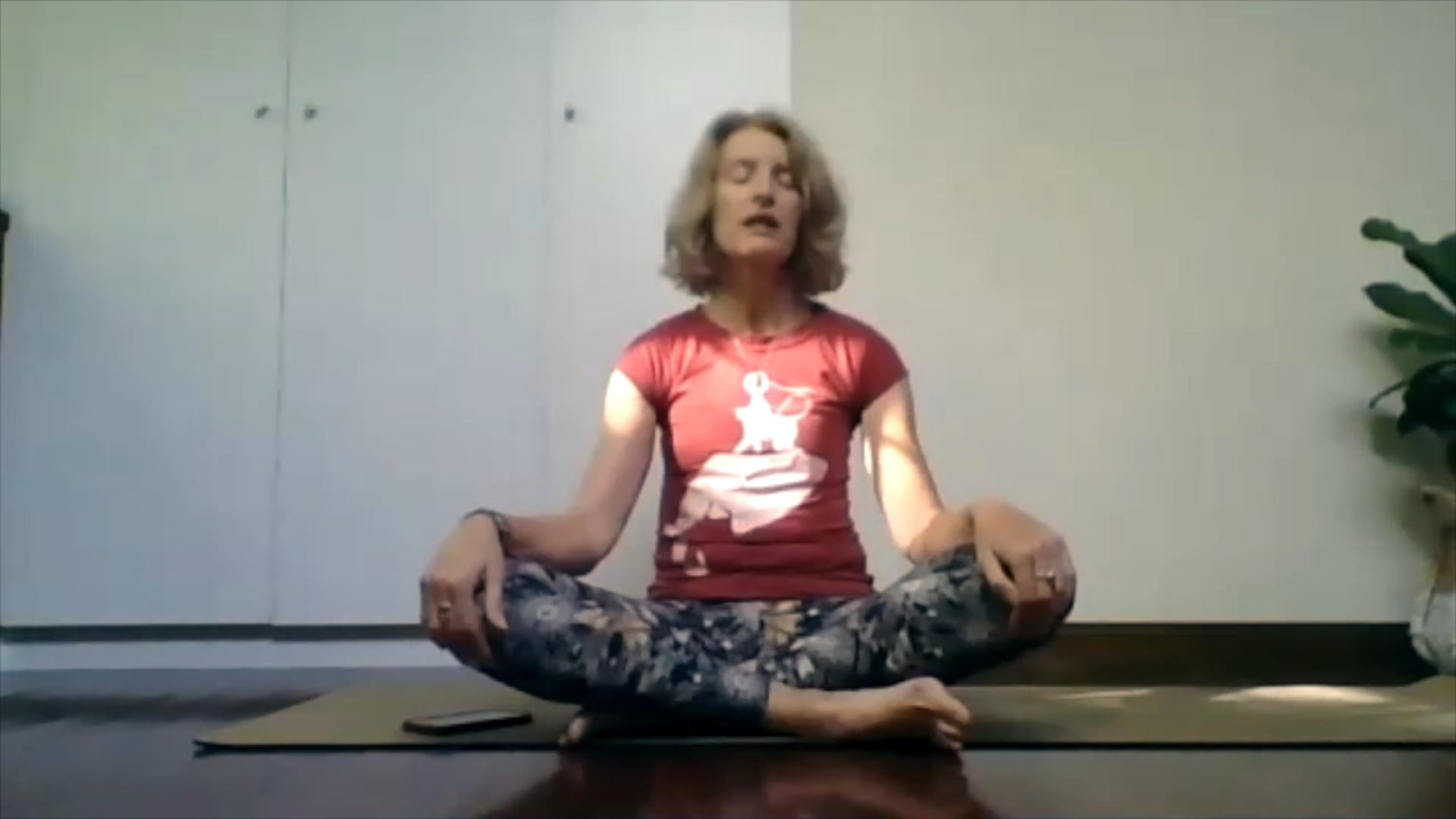 Yin Practice with Liz 5