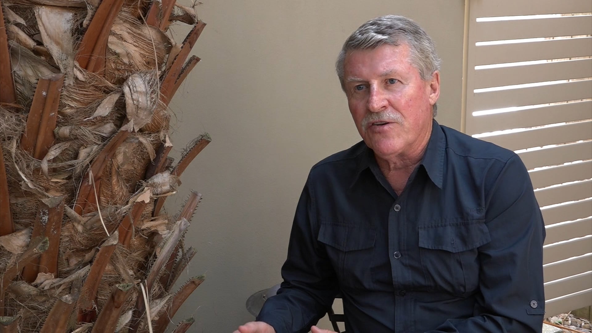 Which Diet Is Best, Low-Carb or Low-Fat_ _ Lifestyle Medicine Society