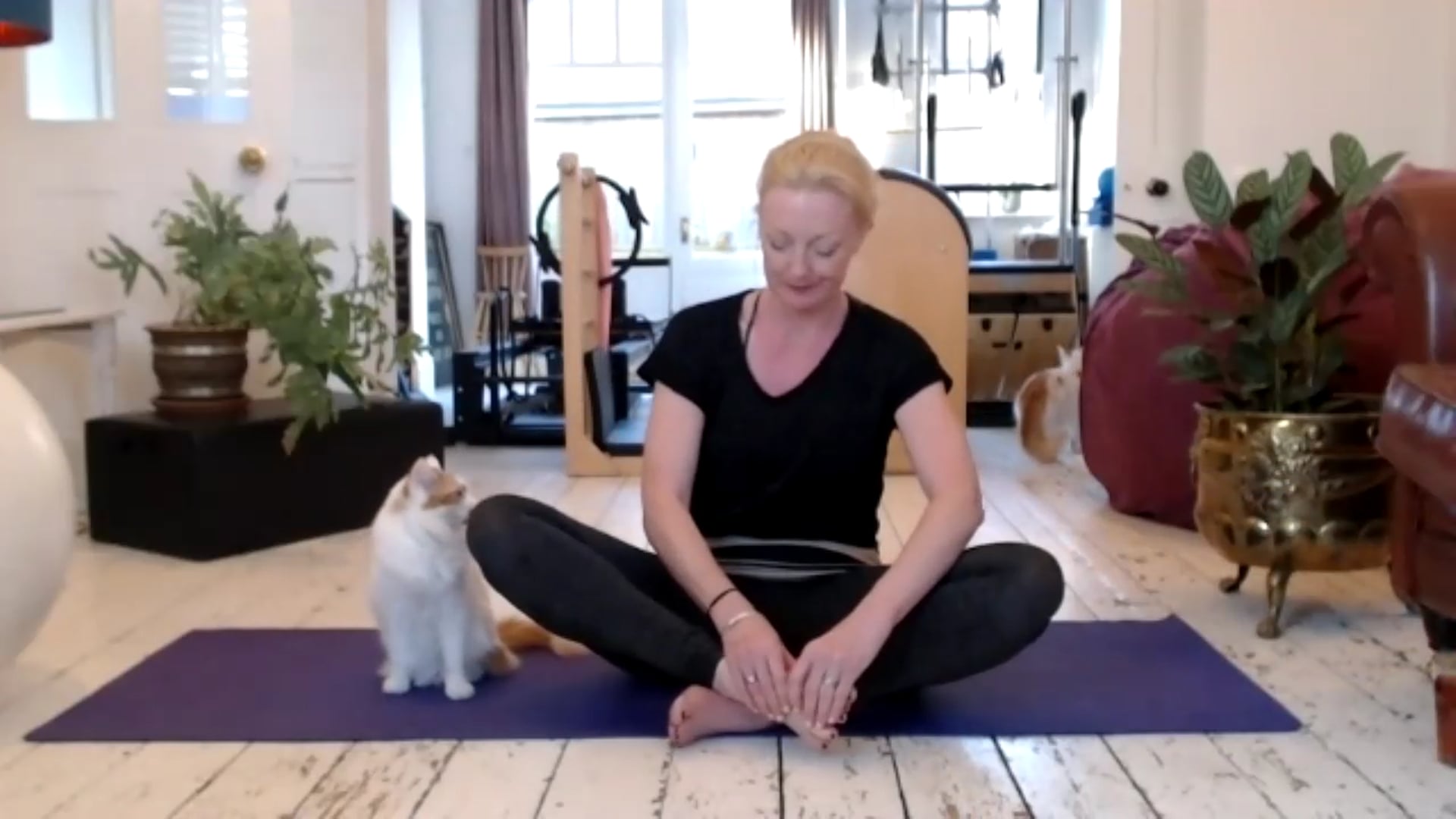 Sarah's one for all levels with special guests