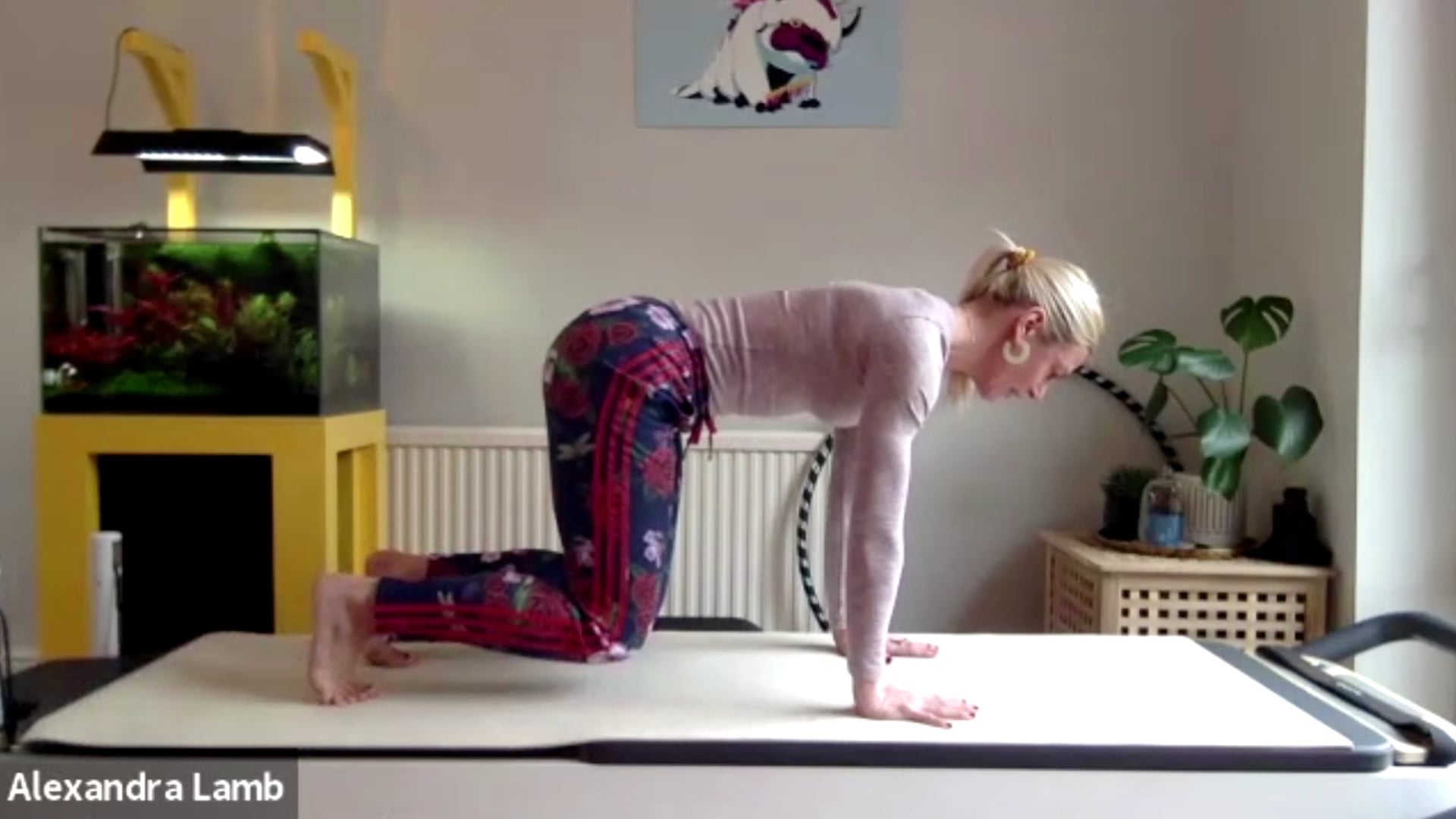 Alexandra's Grounding Practise