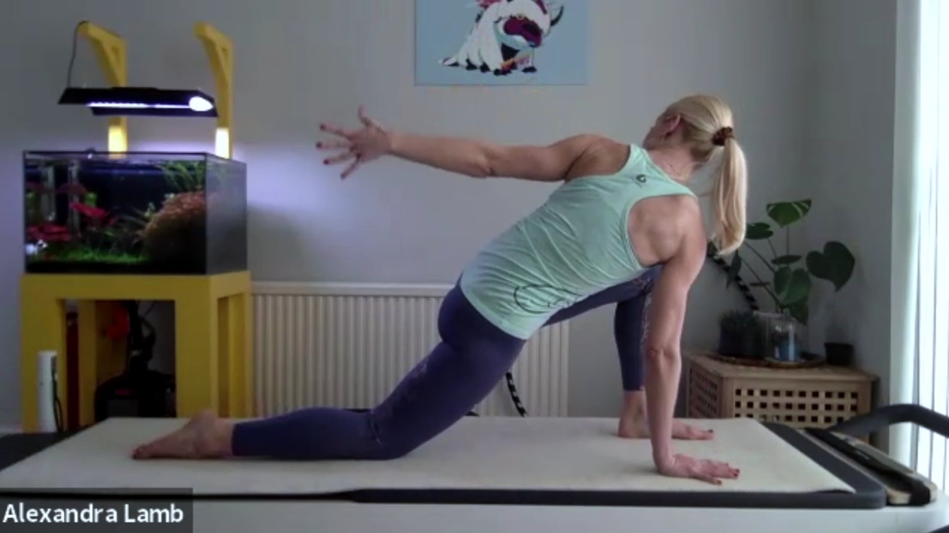 Alexandra's All Level Flow