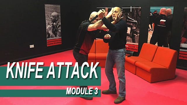 Knife Attack - Module 3 - BioMechanics