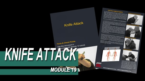 Knife Attack - Module 19 - Facts And Checkpoints