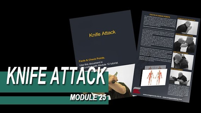 Knife Attack - Module 25 - Facts And Checkpoints