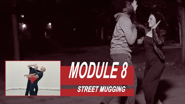 Training Module 8 - Street Mugging
